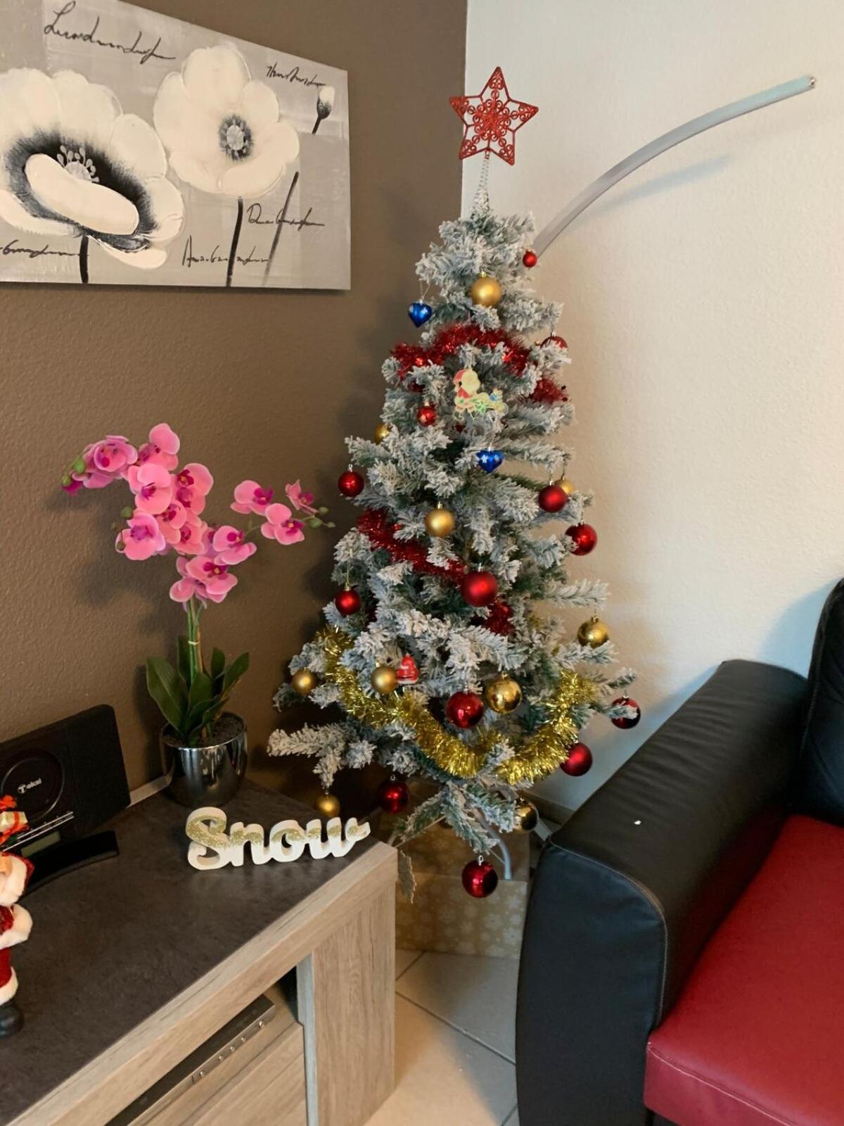 L Edelweiss Et Sa Piscine Apartment Albertville Bagian luar foto
